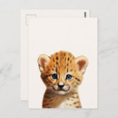Baby Cheetah Portret Briefkaart (Voorkant / Achterkant)