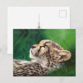 Baby Cheetah postcard Briefkaart (Voorkant / Achterkant)