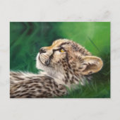 Baby Cheetah postcard Briefkaart (Voorkant)