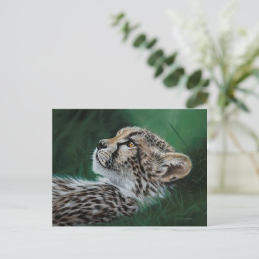 Baby Cheetah Postcard Set 10 Briefkaart (Staand voorkant)