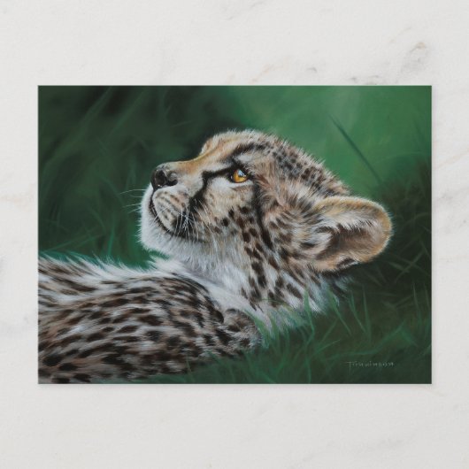 Baby Cheetah Postcard Set 10 Briefkaart (Voorkant)