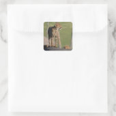 Baby Cheetahs Peking on Rock Square Stickers (Tas)