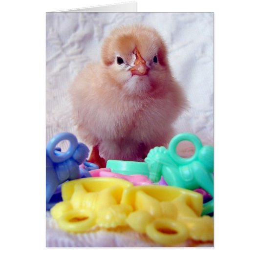 Baby Chick (Voorkant)