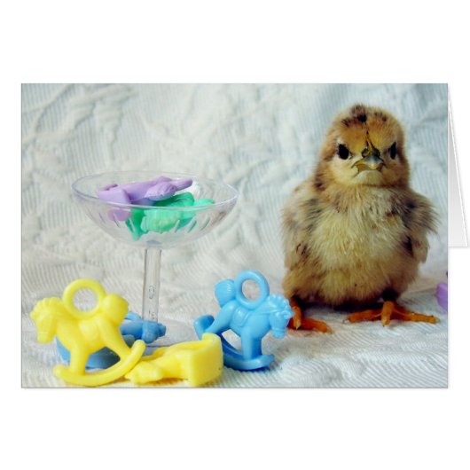Baby Chick (Voorkant Horizontaal)