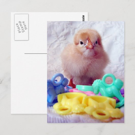 Baby Chick Briefkaart (Voorkant / Achterkant)