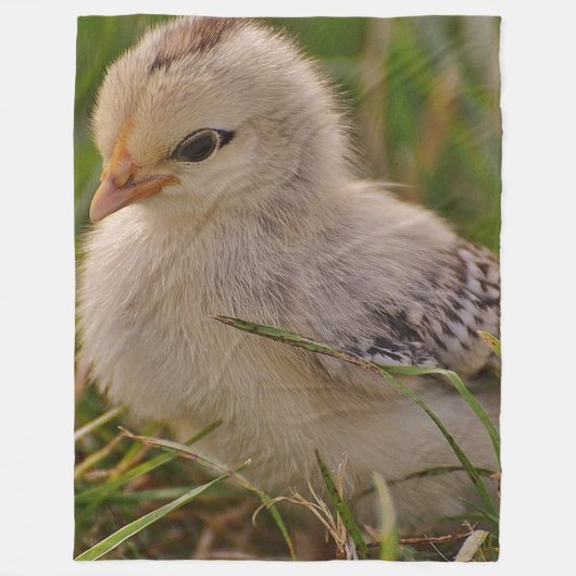 Baby Chick Fleece Blanket Deken (Voorkant)