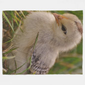 Baby Chick Fleece Blanket Deken (Voorkant (Horizontaal))