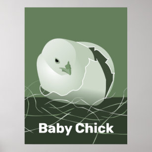 Baby Chick Green Kitchen Wall Art Poster