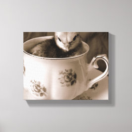 Baby Chick in een Teacup Canvas Afdruk
