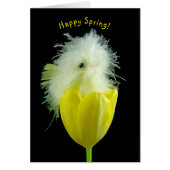 Baby chick in gele tulp (Voorkant)