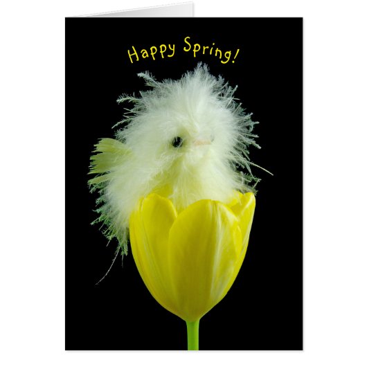Baby chick in gele tulp (Voorkant)