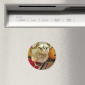 Baby Chick Magnet Boerderij Magnet (Insitu (Vaatwasser))