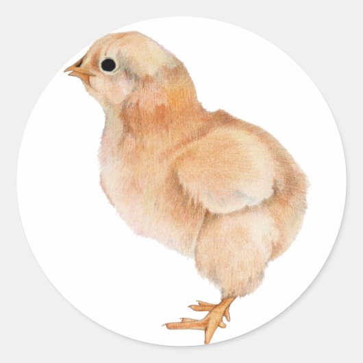 Baby Chick Sticker (Voorkant)