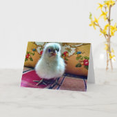 Baby Chick Wenskaart Kaart (Gele Bloem)
