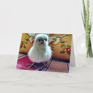 Baby Chick Wenskaart Kaart