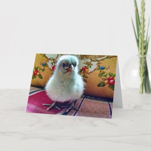 Baby Chick Wenskaart Kaart (Voorkant)