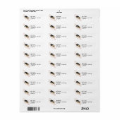 Baby Chickadee Vogel Retouradres Labels (Full Sheet)