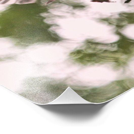 Baby Chickadees en Moeder Bird Foto Afdruk (Hoek)