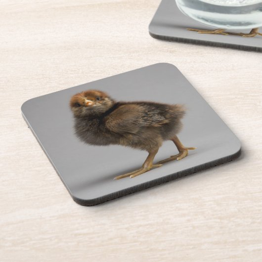 Baby Chicken Bier Onderzetter (Linkerzijde)