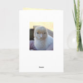 Baby_Chicken_Easter_Greeting_Kaart. Feestdagen Kaart (Achterkant)