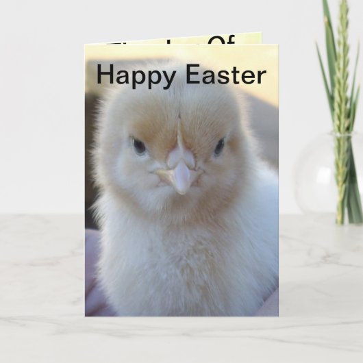 Baby_Chicken_Easter_Greeting_Kaart. Feestdagen Kaart (Voorkant)