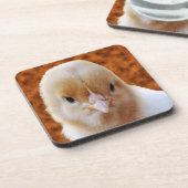 Baby Chicken Face, Onderzetters (Linkerzijde)