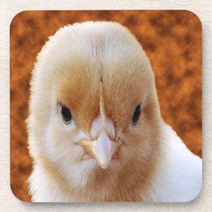 Baby Chicken Face, Onderzetters