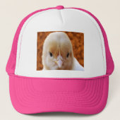 Baby Chicken Face, Pet (Voorkant)