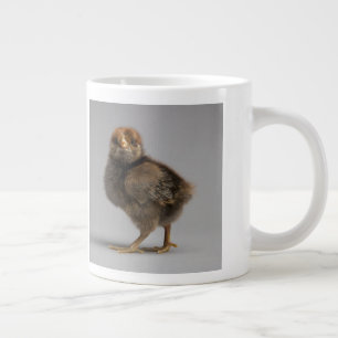 Baby Chicken Grote Koffiekop