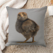 Baby Chicken Kussen (Deken)