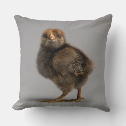Baby Chicken Kussen (Voorkant)