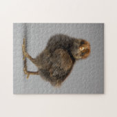 Baby Chicken Legpuzzel (Horizontaal)