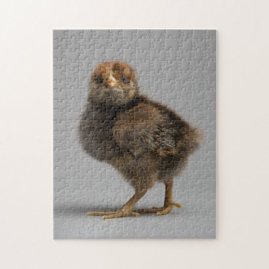 Baby Chicken Legpuzzel (Verticaal)