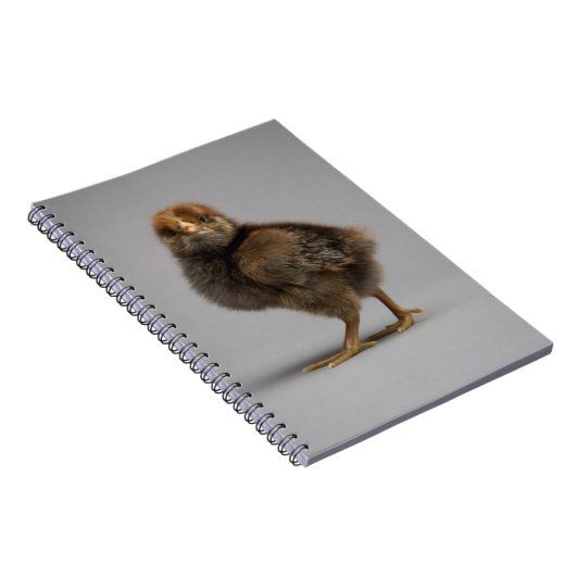 Baby Chicken Notitieboek (Rechterzijde)