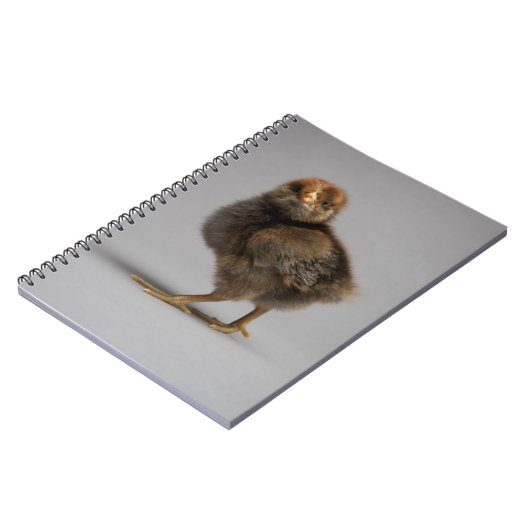 Baby Chicken Notitieboek (Linkerzijde)