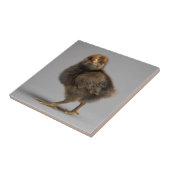 Baby Chicken Tegeltje (Zijkant)
