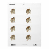 Baby Chicks Araucana Kippen Ornithologie Vogels Etiket (Full Sheet)