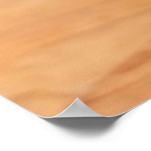 Baby Chicks Poster (Hoek)