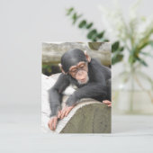 Baby Chimp Briefkaart (Staand voorkant)