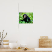 Baby chimp in gras poster (Keuken)