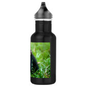 Baby chimp in gras waterfles (Rechts)