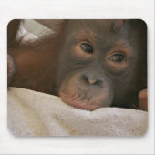 Baby Chimp Mousepad Muismat (Voorkant)