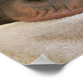 Baby Chimp Poster afdrukken (Hoek)