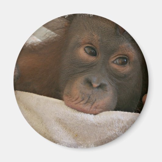 Baby chimp ronde magneet (Voorkant)