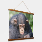 Baby Chimp Verbinding Hangend Wandkleed (Gebogen)