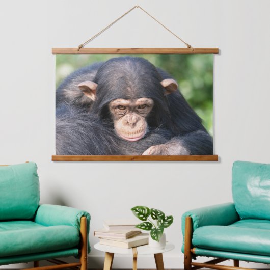 Baby Chimp Verbinding Hangend Wandkleed (Woonkamer)