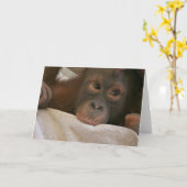 Baby Chimp-Wenskaart Kaart (Gele Bloem)