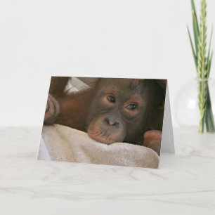 Baby Chimp Wenskaart Kaart