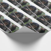 Baby Chimpansee Cadeaupapier (Hoek)