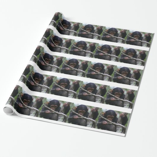Baby Chimpansee Cadeaupapier (Uitgerold)